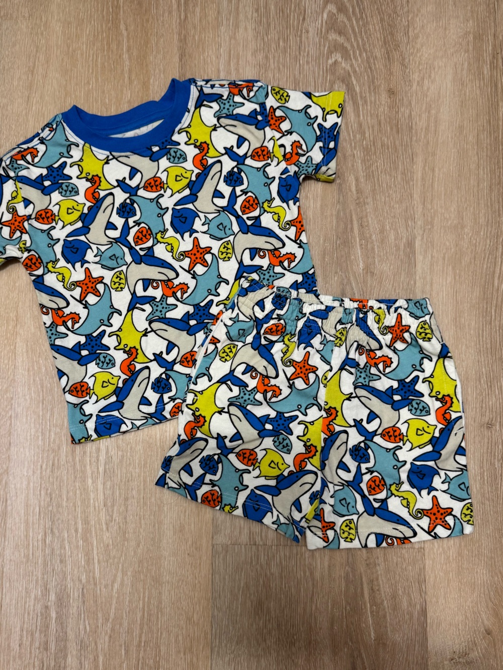 Kids Sea Creature Matching Set - Blue Multicolor